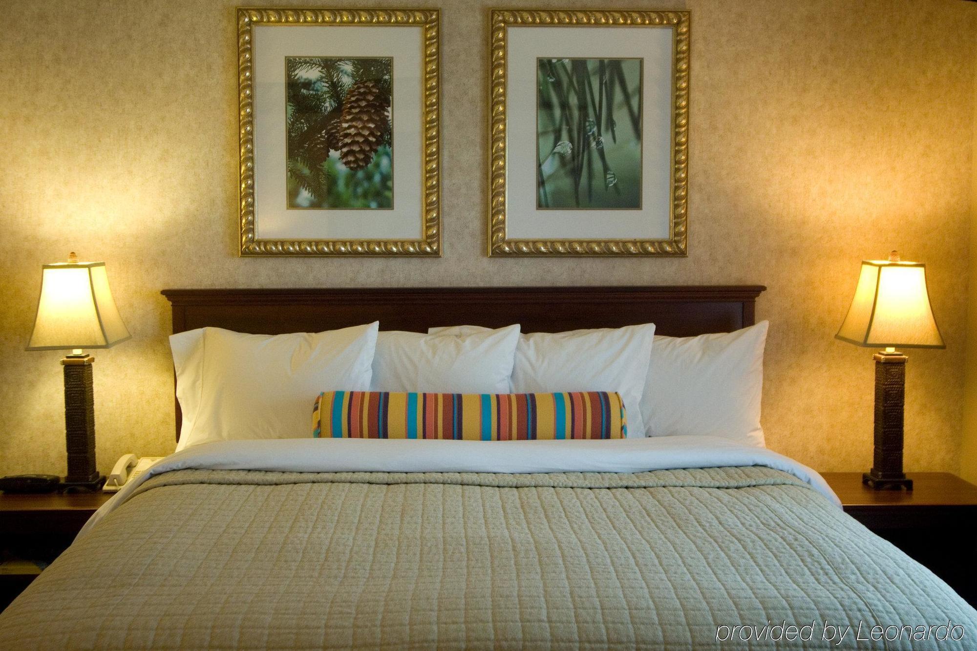 Phoenix Inn Suites Albany Zimmer foto
